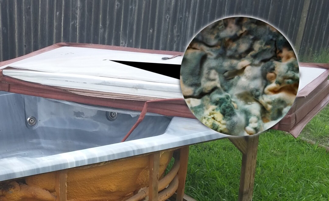 Hot Tub Cover Mold Complete Cleaning Guide